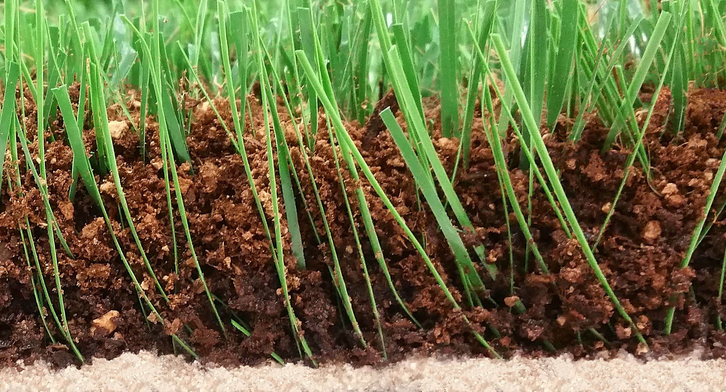 SPRINTURF ACQUIRES GREENPLAY, AN ORGANIC INFILL COMPANY